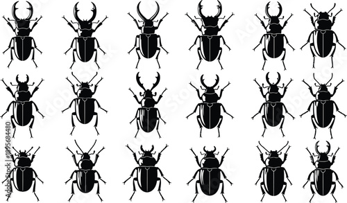 Black and white vector silhouette set of various stag beetles and insects with large mandibles for nature biology entomology and outdoor wildlife design,