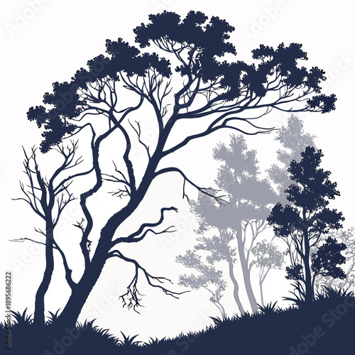 Silhouette of a gnarled tree in a forest