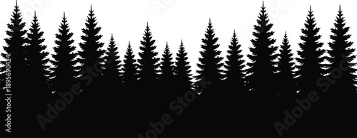 Silhouette of pine forest landscape isolated on white background, black nature illustration representing evergreen trees, wilderness, environment, scenery and outdoor concept