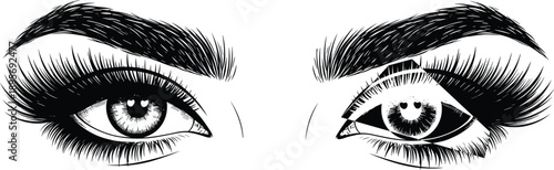 Detailed Black and White Illustration of Female Eyes with Long Voluminous Eyelashes and Bold Groomed 