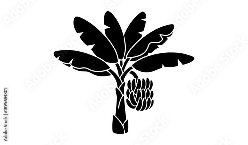 Banana tree with fruit solid black silhouette icon tropical vector isolated on transparent background