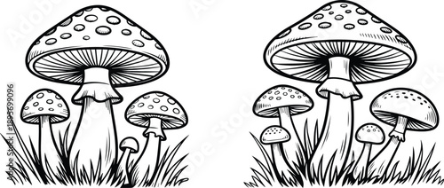 mushroom group line art vector illustration for nature and forest design