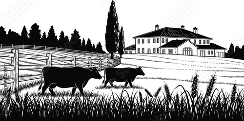 Black and white rural farm landscape illustration with grazing cows, farmhouse, wooden fence, wheat field and countryside scenery, detailed vintage style vector artwork