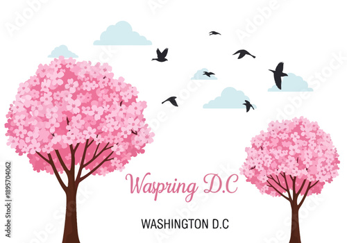 Washington DC Cherry Blossoms Spring Season.