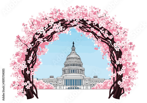 Washington DC Capitol Building framed by blooming cherry blossom trees.