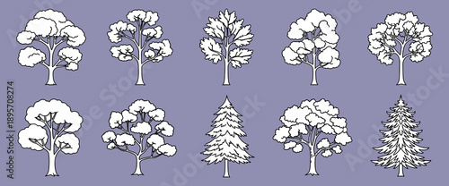 Collection of simple trees in white color with black outline for creating natural forest or garden landscapes, isolated vector illustration