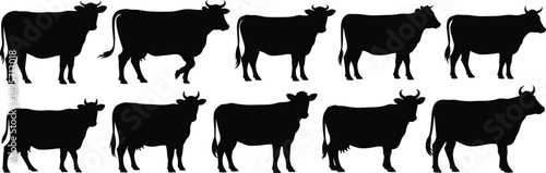 Large Set of Detailed Cow and Bull Silhouettes for Agriculture Branding, Livestock Farming Equipment Icons, and Rural Countryside Graphic Design Elements.