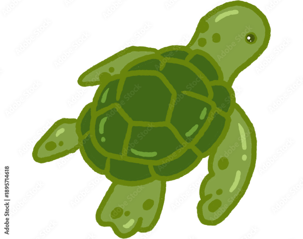 Obraz premium Cute Hand Drawn Green Sea Turtle Illustration