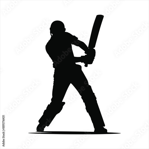 Professional cricket player silhouette in batting stance position