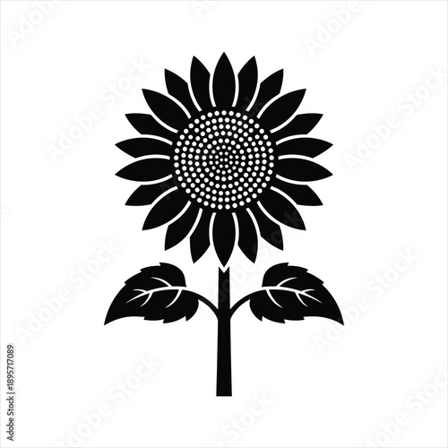 Realistic sunflower silhouette icon, summer botanical element for organic branding and nature decor