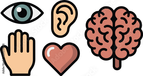Collection of human senses and mind icons, brain function and emotional intelligence symbols
