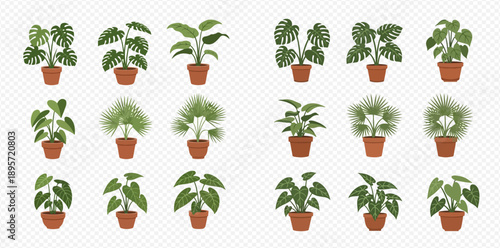 Set of various potted house plants and indoor greenery on a transparent background.
