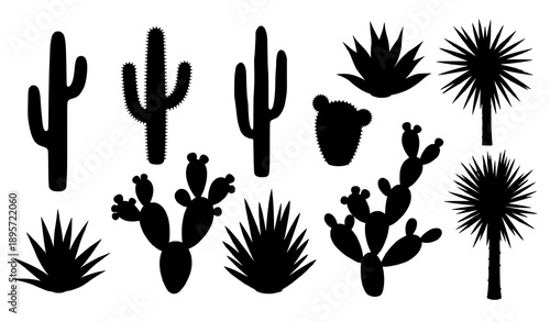 Mexican desert plant cactus silhouettes solid black vector isolated on transparent background