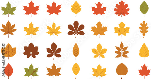 Autumn Leaves Illustration Set with Colorful Fall Foliage Shapes Seasonal Nature Elements Flat Vector Collection for Harvest, Decoration, and Design Projects