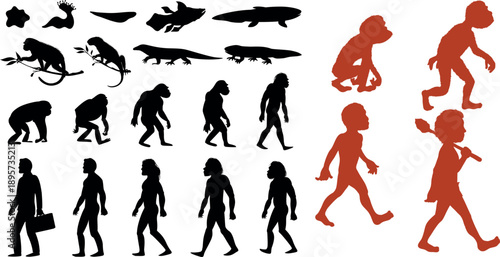 Human Evolution Silhouette Vector Set Showing Darwinian Evolution Concept
