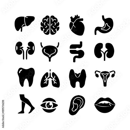 Human Organs Anatomy Icons