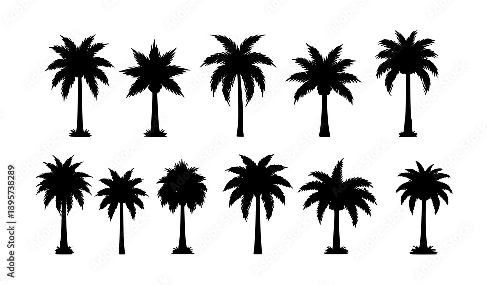 Naklejka premium Palm trees silhouette vector icon set tropical nature collection isolated on transparent background