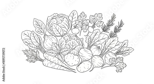 Fresh vegetables line art illustration
