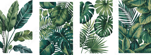 Tropical palm leaves and monstera leaf vector illustration set, exotic green foliage jungle plants background for summer interior wall art
