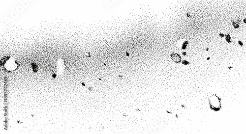 Microscopic view of cells