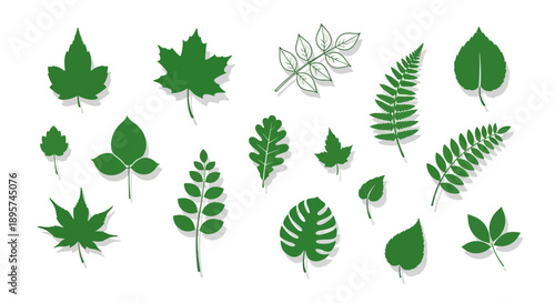 Variety of Green Leaf Vector Silhouettes