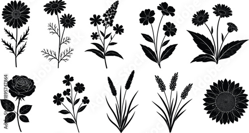 Set of flower silhouettes including rose daisy sunflower and lavender, botanical garden plants and wildflower icons, black vector illustration, isolated floral design elements