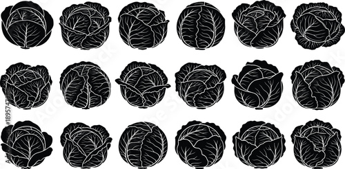 Set of fresh cabbage silhouettes, green vegetable icons, whole raw cabbage heads vector collection, organic farm food graphics for healthy vegan cooking designs,