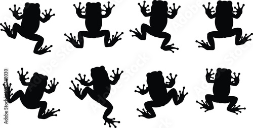 Set of frog silhouettes in different poses and angles, tree frog vector illustration isolated on white background, amphibian animal icons for design