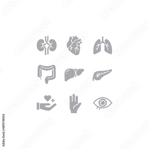 Human Organ Medical Icons