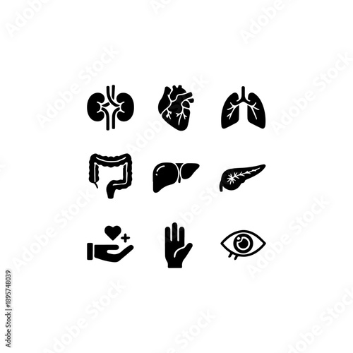Human Organs Icons