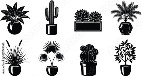 Set of indoor houseplant silhouettes including cactus and succulents in decorative pots, botanical home decor elements for gardening and interior design, isolated vector illustration,