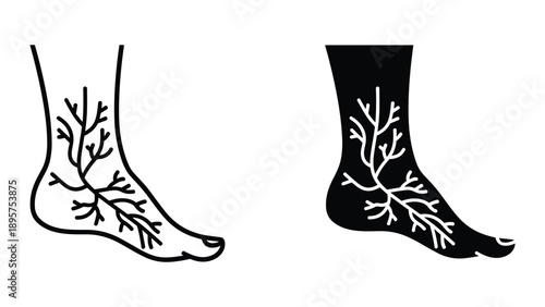 Black and white illustration of human foot with veins