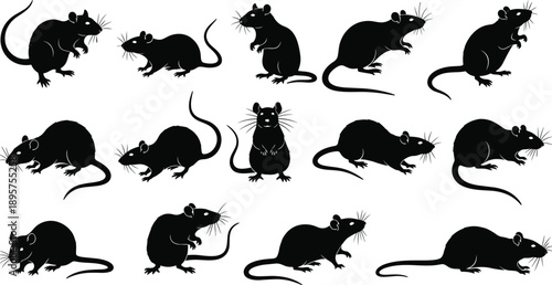 PrintSet of professional swimmer silhouettes in action, male and female athletes performing various swimming strokes and diving in pool, sport vector illustration collection,