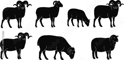 Set of sheep and ram silhouettes, domestic farm animal icons, grazing livestock collection, woolly ewe and horned rams, vector farm animal silhouettes, nature wildlife.