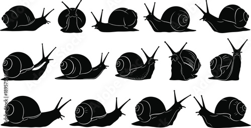 Set of snail silhouettes, various garden gastropod icons in crawling poses, slow moving mollusk shapes, nature wildlife elements, botanical vector illustration, garden, shell.
