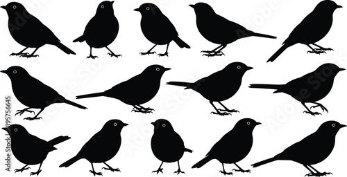 Set of small bird silhouettes, songbird wildlife icons, nature avian collection, robin and sparrow shapes, flying and perching garden birds, vector illustration.