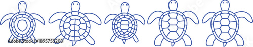Five blue line sea turtles arranged horizontally animal