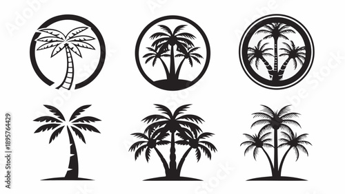 Set of modern palm tree silhouettes for design and decoration