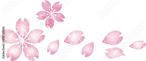 桜の手描きの水彩イラストセット　満開の花やつぼみ、舞い散る花びらのベクター素材