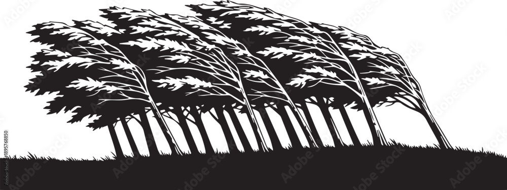 Fototapeta premium Wind blowing through trees Silhouette vector black on a white background