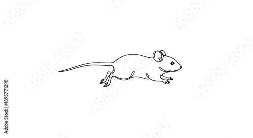 Whimsical hand drawn sketch of a small rodent mouse running with a long tail and cute features isolated on white