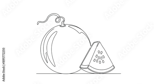 Simple line drawing of a whole cantaloupe melon and a juicy slice with seeds on a white background