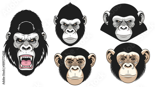 Collection of primate head illustrations including powerful gorillas and intelligent chimpanzees with various facial expressions.