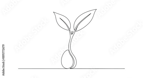 Simple continuous line drawing of a young seedling with two leaves emerging from a seed on a white background representing growth and new beginnings