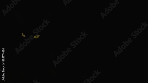 Glowing cat eyes in dark night mystery close-up abstract animal portrait