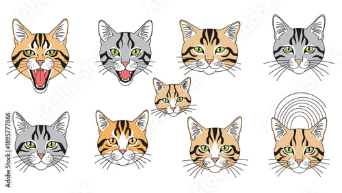 Collection of various cat head illustrations with different colors, markings, and expressions like yawning and staring.