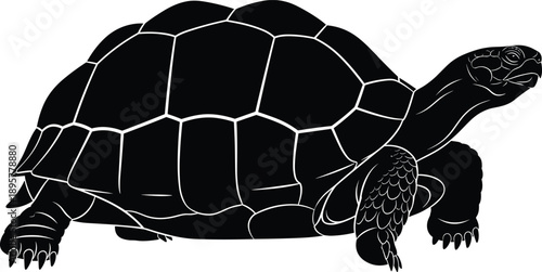 Black silhouette of tortoise side view, detailed shell pattern, wildlife illustration, reptile concept, nature design, minimalist art