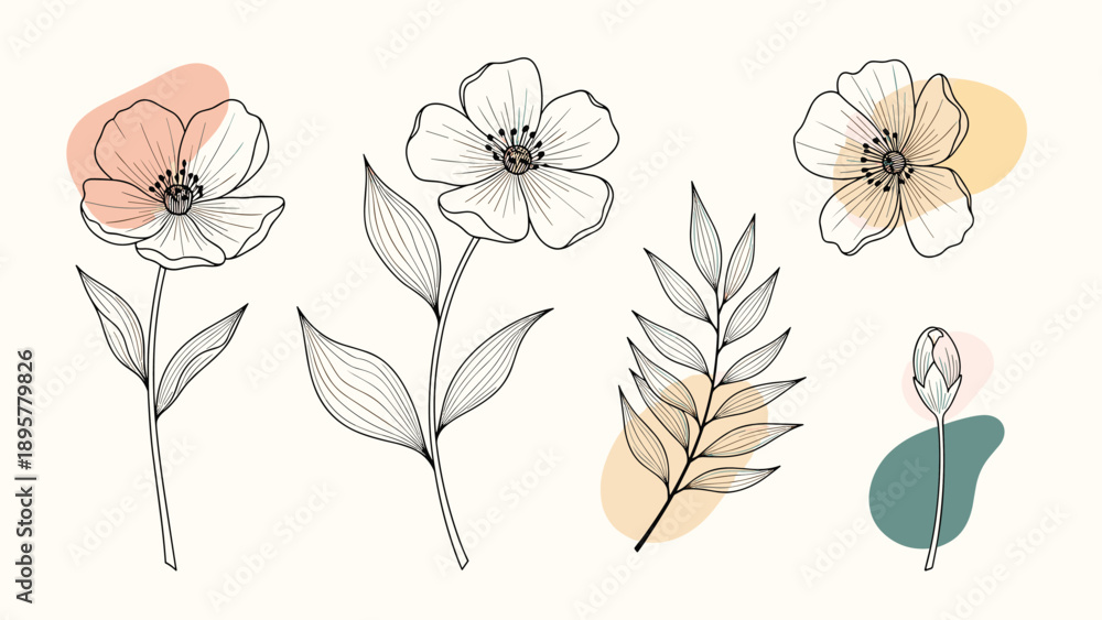 Obraz premium Modern floral illustration featuring hand drawn flowers and leaves combined with soft abstract color shapes for elegant greeting cards.