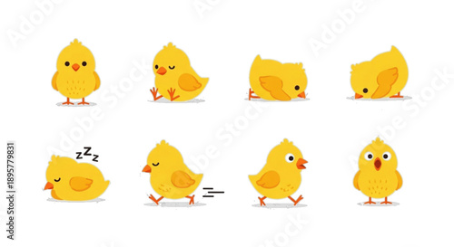 Chibi chicks in different actions, isolated on white background, cute cartoon illustration set