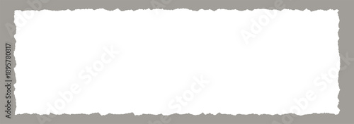 wide paper frame with jagged edges white blank torn paper